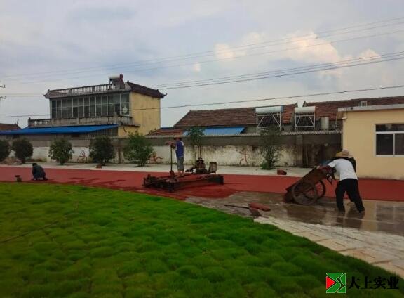 已經竣工的天然草足球場