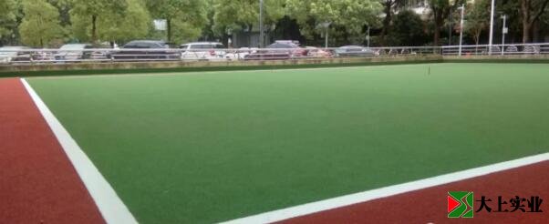 人造草坪門球場(chǎng)