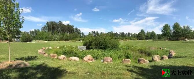 圖1  社區(qū)公園中有起伏的自然場地