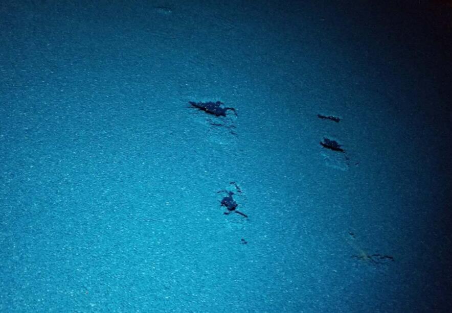 可惡！公園的塑膠跑道施工遭遇不文明行為人